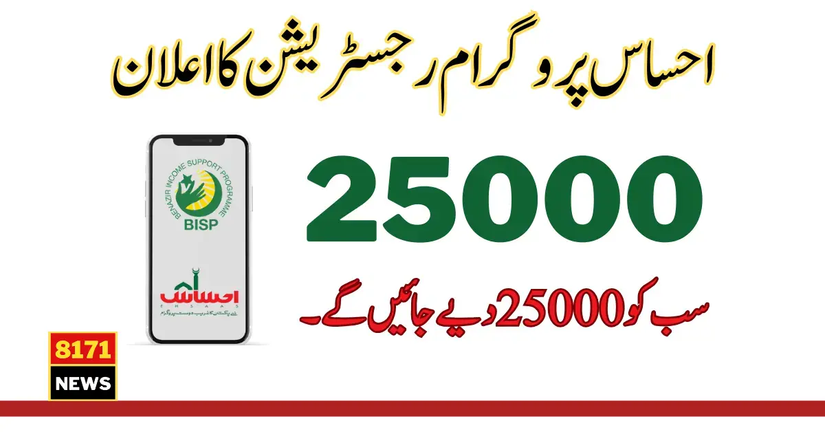 New Method For Ehsaas Program CNIC Check Online 25000