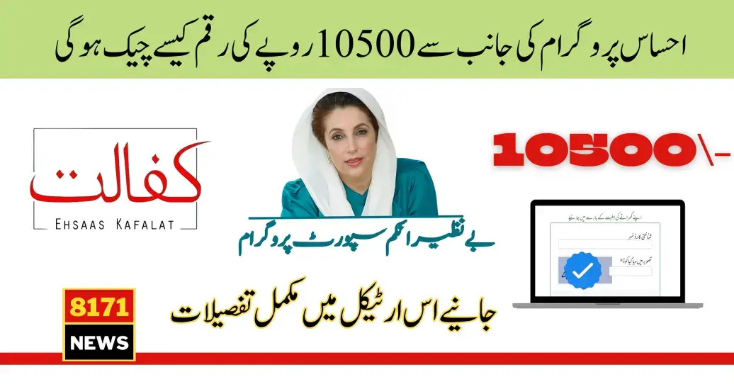 Ehsaas 8171 New Payment 10500 Check Online By CNIC Web Portal