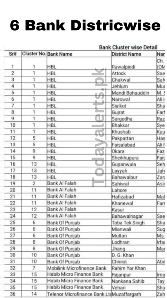 BISP Officially Announced 6 Banks For Next Quarterly Payment