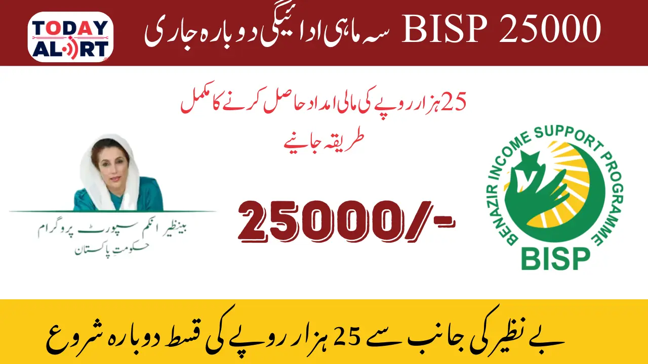 BISP 25000 Quarterly Payment Reissued Important Information