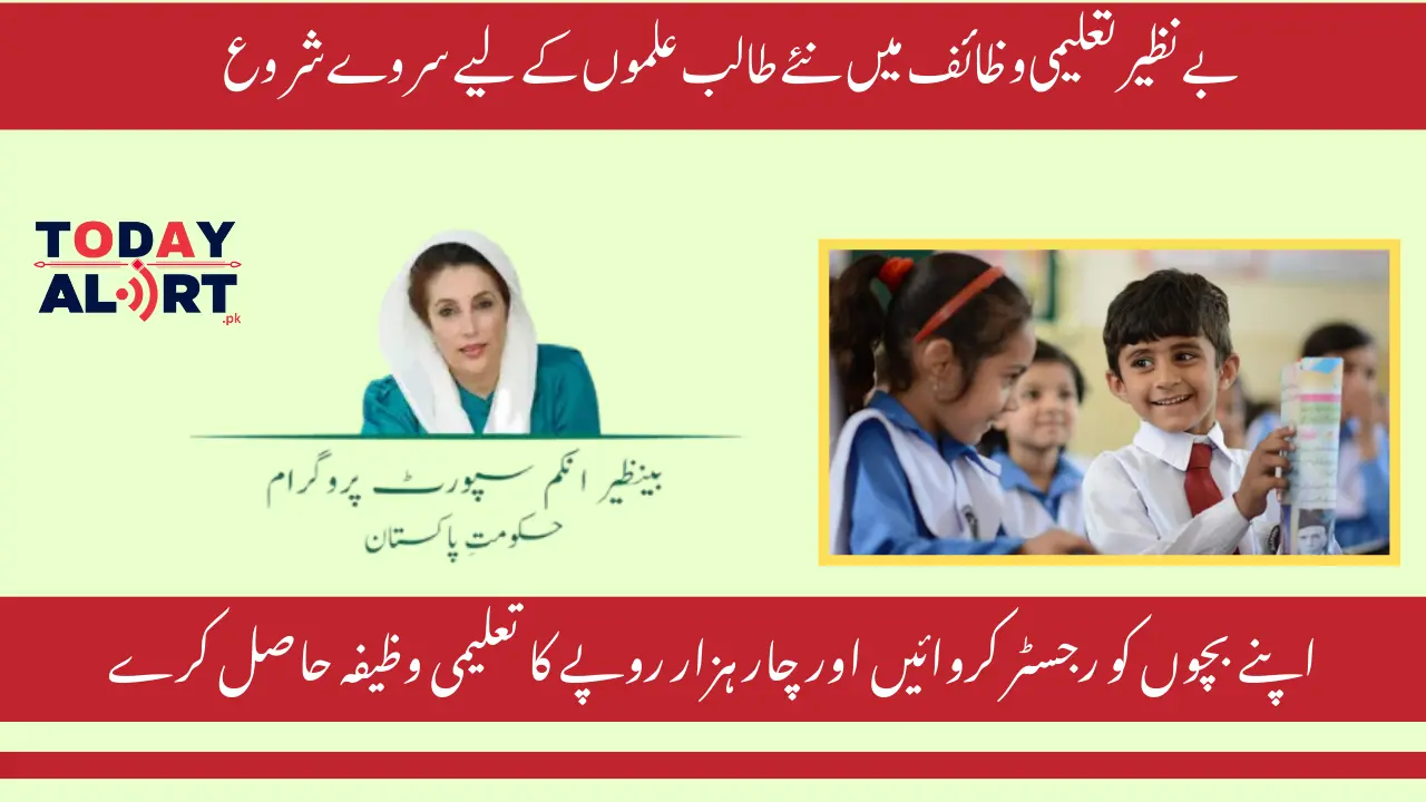 Benazir Taleemi Wazaif 4,000 Scholarship Registration Survey