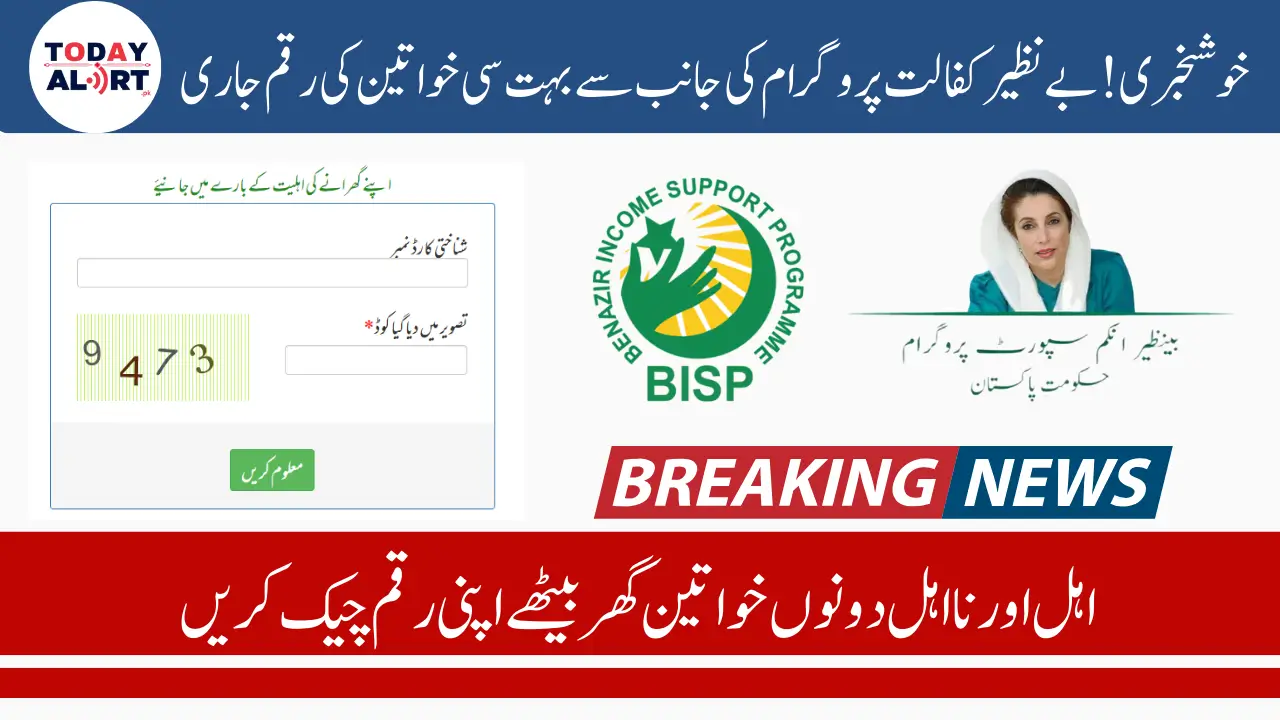 BISP 8171 Result Check Online By CNIC For November to December Payment